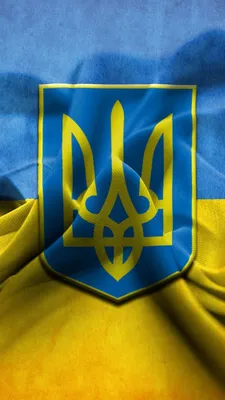 ⋗ Вафельная картинка Флаг Украины 1 купить в Украине ➛ CakeShop.com.ua
