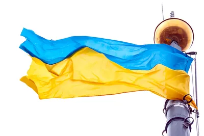 Наклейка на телефон Флаг Украины (ID#1631925596), цена: 13 ₴, купить на  Prom.ua