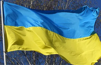 ᐉ Купить Чехол с патриотическим дизайном (флаг Украины) Silicon Case Print  Ukainian Flag для iPhone 11 по цене: 317 грн грн в интернет-магазине «СМА»