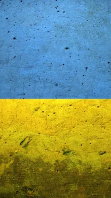 Во Франции сняли флаг Украины после слов Зеленского об Азербайджане -  Газета.Ru | Новости