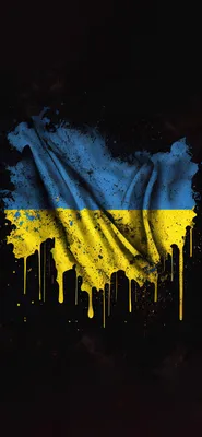 В Ленобласти символику ВКС РФ перепутали с флагом Украины, жители вызвали  полицию