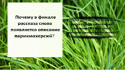 Ответы Mail.ru: как относились люди к Петьке в городе, на даче. Рассказ \" Петька на даче\"