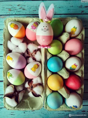 5 натуральных красителей для пасхальных яиц | Вдохновение (Огород.ru)