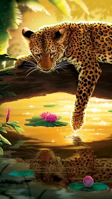 Обои Леопард, кошачьих, животных печати, бакенбарды, африканский леопард на  телефон Android, 1080x1920 картинки и фото бесплатно