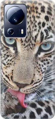 Фото леопарда скачать на обои телефона в размер экрана. | Животные картинки  на телефон скачать. | Постила