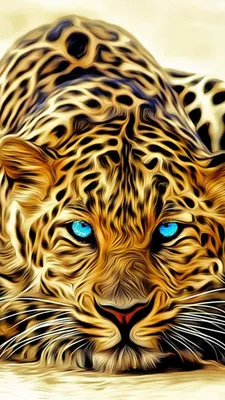 Суровый взгляд леопарда- Фотошоп - обои на телефон