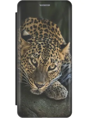 Sad Leopard Wallpaper for iPhone 5S