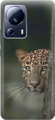 Леопард, Дикие Животные, Животные - картинка на телефон | Бесплатно Скачать  фото