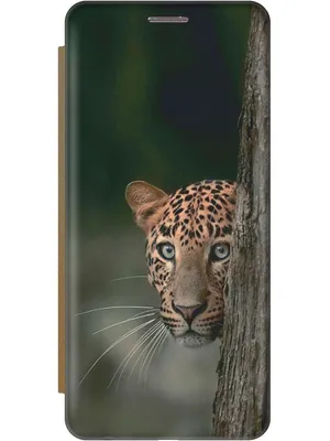 Обои леопард на телефон - 63 фото
