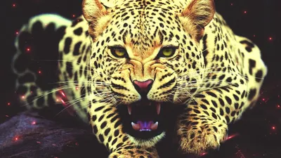 Обои на телефон пантера, леопард, хищник, морда - скачать бесплатно в  высоком качестве из категории \"Животные\"