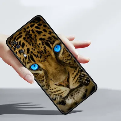 Дикие Животные, Леопард, Животные - обои на телефон, | Лучшие Бесплатные  фото