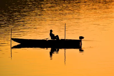 Бесплатное изображение: берег реки, Моторная лодка, Река лодка, спокойный,  на берегу озера, спокойствие, пустая, лодка, вода, берег