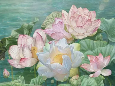 Картина \"Розовый цветок лотоса на воде\" | Интернет-магазин картин  \"АртФактор\"