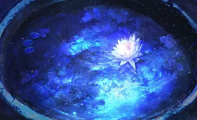 Изображение цветка лотоса на воде Стоковое Изображение - изображение  насчитывающей свеже, свет: 159805413