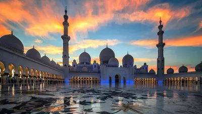 Мечеть шейха Зайда: обои, фото, картинки на рабочий стол в высоком  разрешении