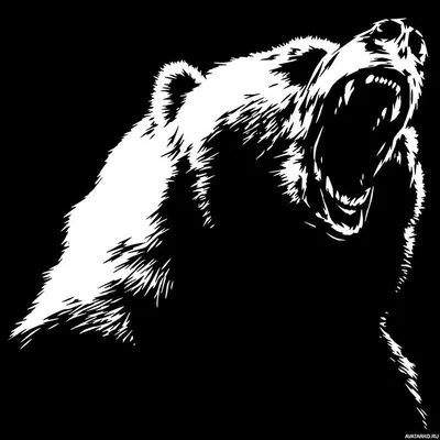 Чёрно-белый рисунок медведя с широко открытой пастью — Картинки для  аватарки | Татуировки медведя, Татуировки кельтского креста, Медведь