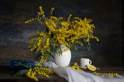 Картинка Цветы Мимозы 1920x1440