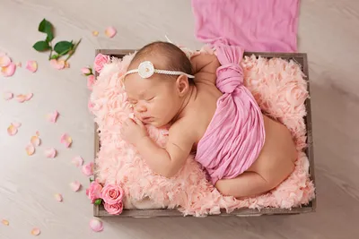 Портретная фотография младенца новорожденного милого маленького ребенка Фон  И картинка для бесплатной загрузки - Pngtree