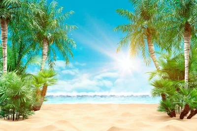 Море пальмы и песок (9 фото) - 9 фото