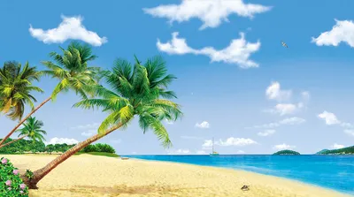 Обои тропический пляж, 5k, 4k, 8k, парадайс, море, пальмы, tropical beach,  5k, 4k wallpaper, 8k, paradise, palms, sea, blue, Природа #11598