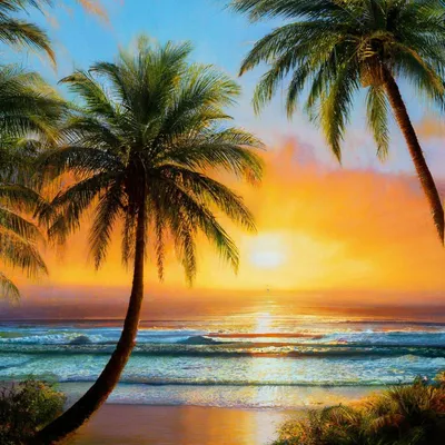 Картинки вертикальные на телефон море пальмы (69 фото) » Картинки и статусы  про окружающий мир вокруг