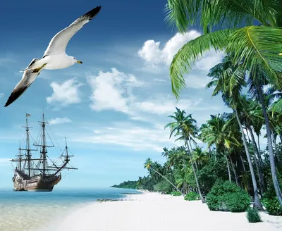 Красивый тропический пляж, пальмы, море - рай Стоковое Изображение -  изображение насчитывающей путешествие, солнце: 95629923