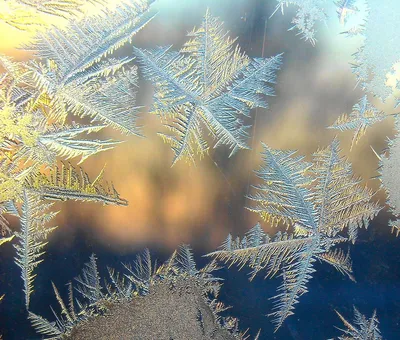 Мороз на окне (55 фото) - 55 фото