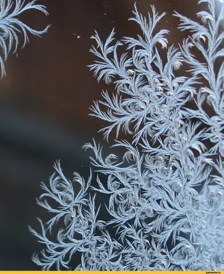 Как мороз рисует морозные узоры на стекле | Узоры, Стекло, Живопись