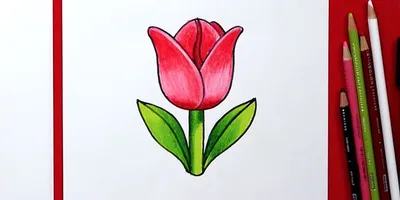 15 способов нарисовать красивые тюльпаны - Лайфхакер