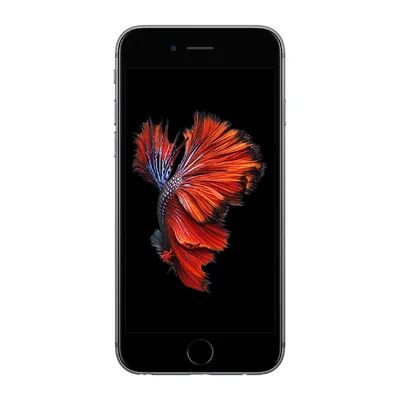 Apple iPhone 6s Plus pictures, official photos