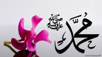 любовь к аллаху с арабским текстом PNG , любовь к аллаху, исламский, тег  PNG картинки и пнг рисунок для бесплатной загрузки