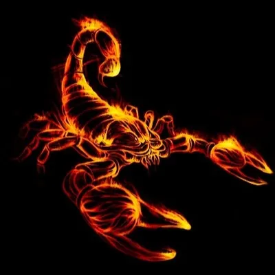Огненный скорпион - 82 фото