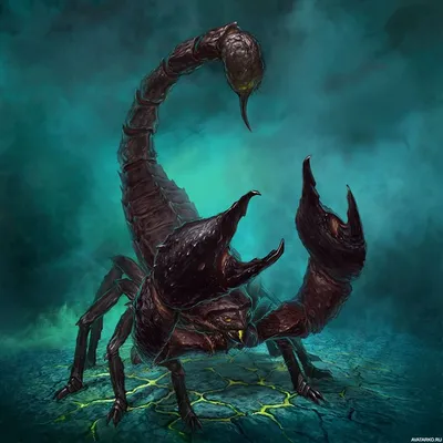 Чёрный скорпион гигантского размера — Скачать картинки | Мифические  существа, Фантастика, Иллюстрации арт
