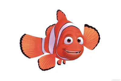Аватар в формате PNG с рыбкой из мультфильма Немо, рыбка отец — Картинки  для аватара