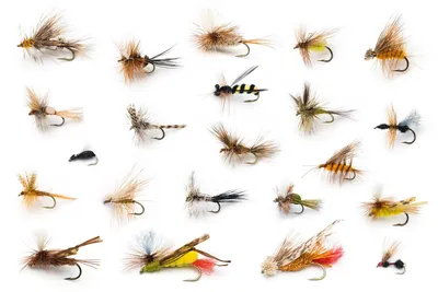 The American Fly Fishing Trade Association