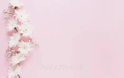 Фото-фон виниловый 120×75 см \"Розовый с белыми хризантемами\", фон для  предметной съемки ПВХ (баннерная ткань) (ID#1598568316), цена: 300 ₴,  купить на Prom.ua