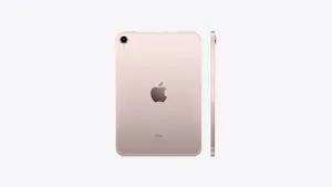 Buy iPad mini Wi‑Fi 64GB - Pink - Apple