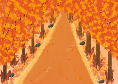 AUTUMN fall tree forest landscape nature leaves wallpaper | 2560x1440 |  812540 | WallpaperUP