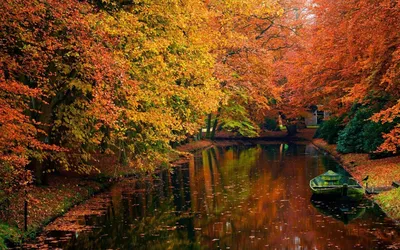 ноутбук планшетный компьютер и листья осенью Фон Обои Изображение для  бесплатной загрузки - Pngtree