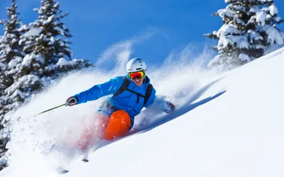 Горные лыжи: вид спорта, история, дисциплины, основные термины, звезды