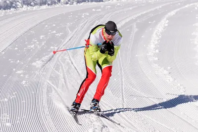 Конни катается на лыжах | Шнайдер Лиана - купить с доставкой по выгодным  ценам в интернет-магазине OZON (162070280)