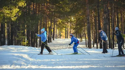Как правильно падать на лыжах - советы, как избежать травму при падении с  лыж