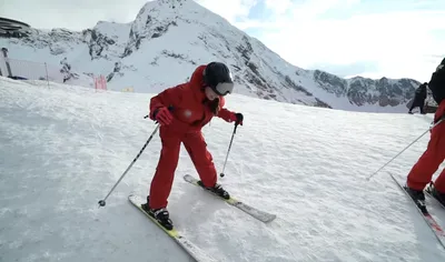 Кот катается на лыжах с горы» — создано в Шедевруме