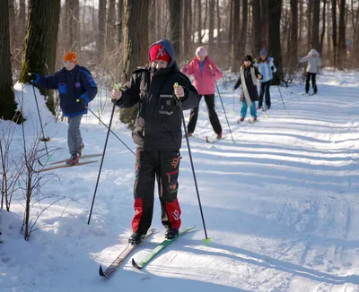 Как научиться кататься на горных лыжах: советы начинающим | afs.by
