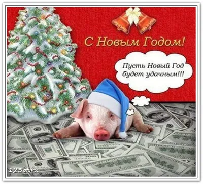 Свинья в свитере Новый Год 2019 китайцев свиньи приветствие рождества  карточки белизна изолированная предпосылкой Иллюстрация вектора -  иллюстрации насчитывающей характер, свинья: 129554658
