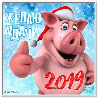 2019 год свинья иллюстрация ai скачать бесплатно бесплатно вектор персонажа  свиньи - Urbanbrush