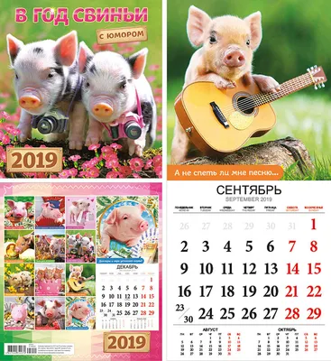 С наступающим Новым годом свиньи — Открытки, Картинки
