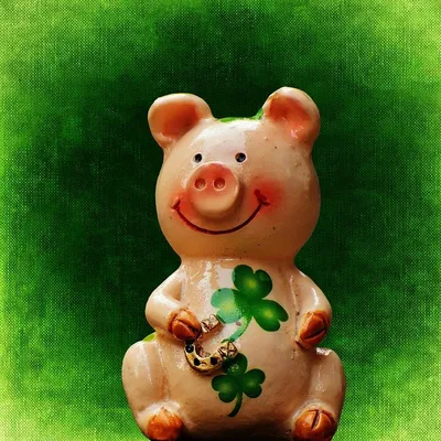 Новый год свинья 2019 Год свиньи PNG , Милый поросенок, Рисованный  мультфильм, Красная свинья PNG картинки и пнг рисунок для бесплатной  загрузки
