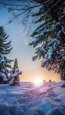 Красивые картинки зимние на телефон (36 фото) • Развлекательные картинки |  Пейзажи, Зимние сцены, Зимние картинки