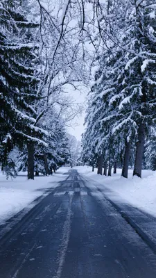 Обои на телефон: Зима, Солнце, Природа, Снег, Пейзаж, 105615 скачать  картинку бесплатно.
